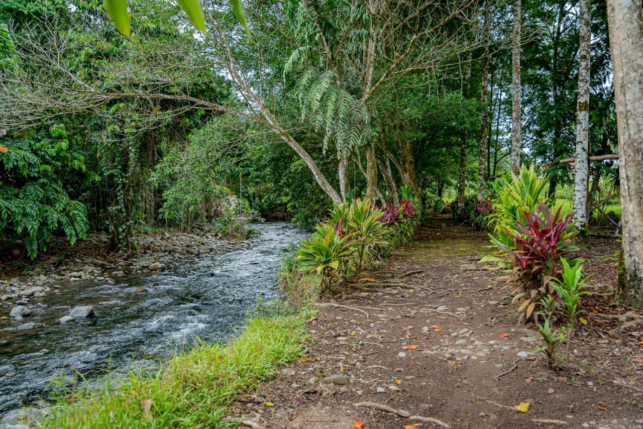 Hotel Los Rios Guacimo  Exterior photo